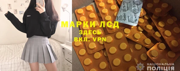 гашик Аркадак
