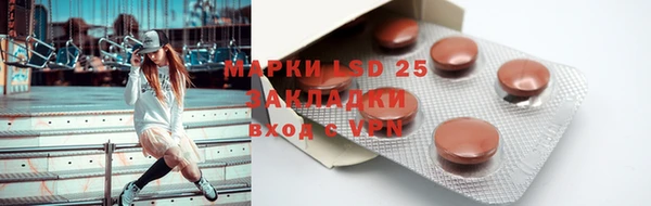 гашик Аркадак