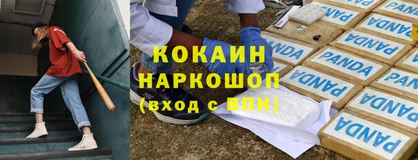 гашик Аркадак