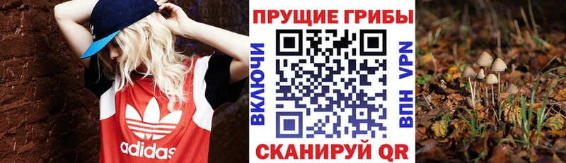 Галлюциногенные грибы MAGIC MUSHROOMS  Холмск 